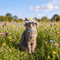 Blaue Blumen Mütze